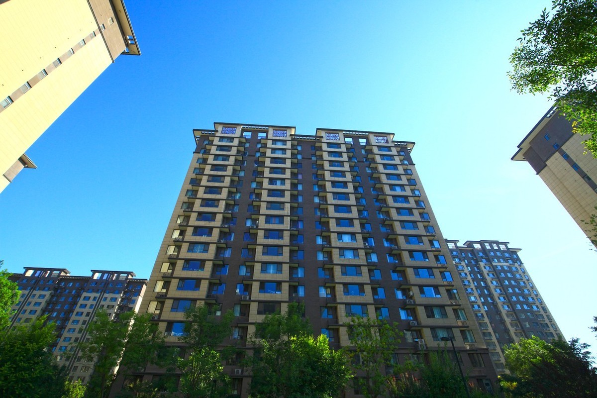 曾经的无敌兔不愧为无敌兔！