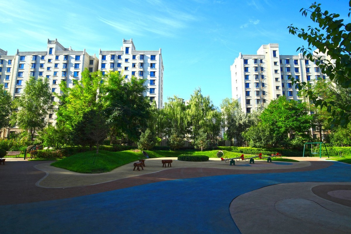 曾经的无敌兔不愧为无敌兔！