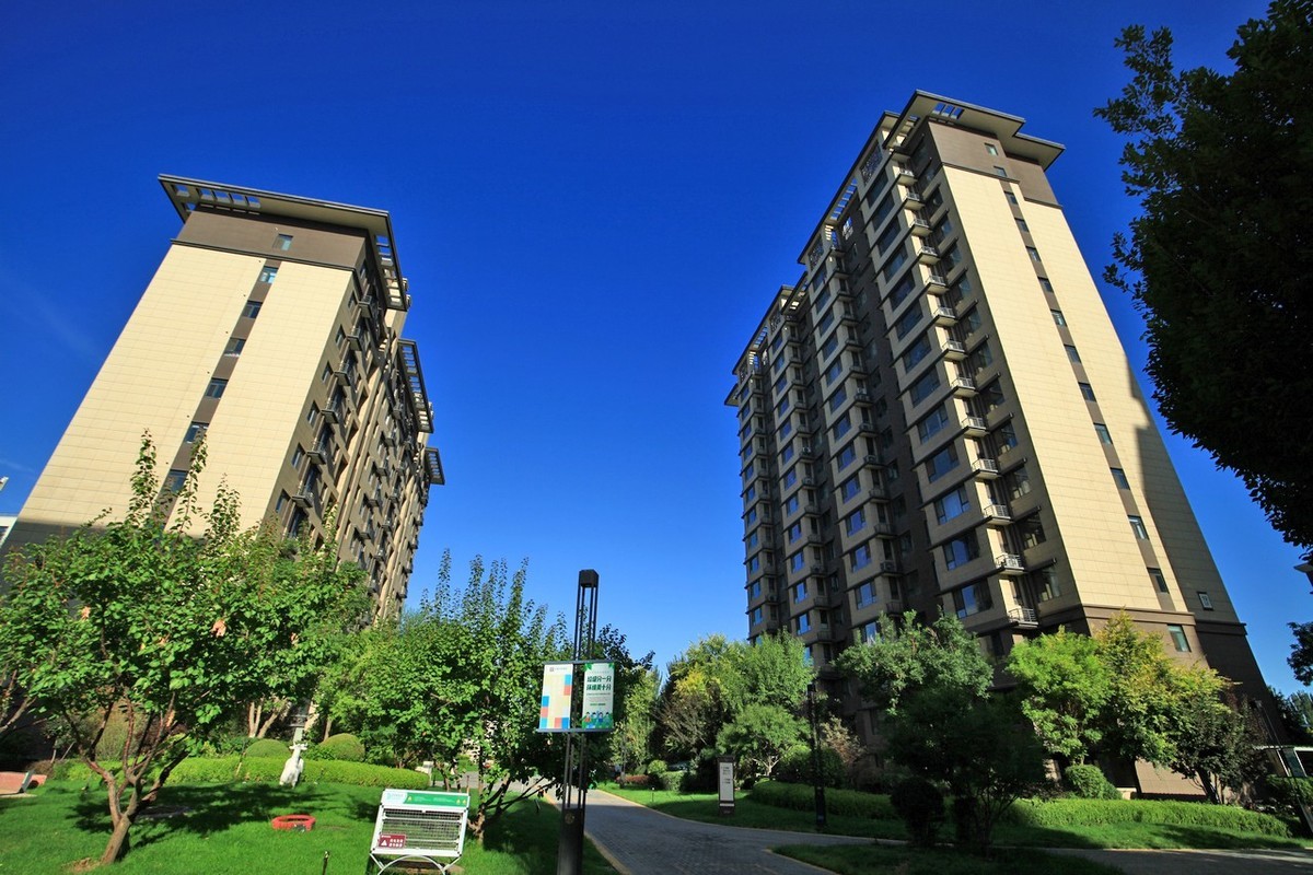 曾经的无敌兔不愧为无敌兔！