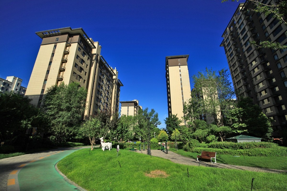 曾经的无敌兔不愧为无敌兔！