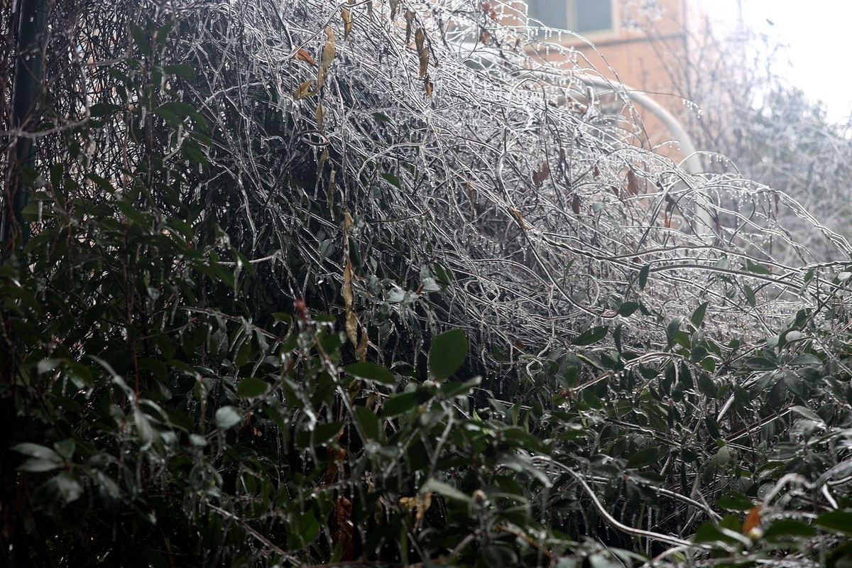 冻雨冰挂10