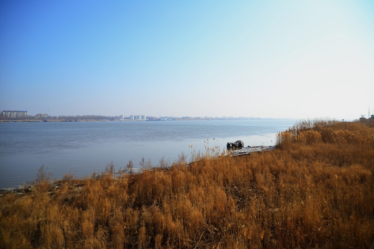 久违了，大辽河！