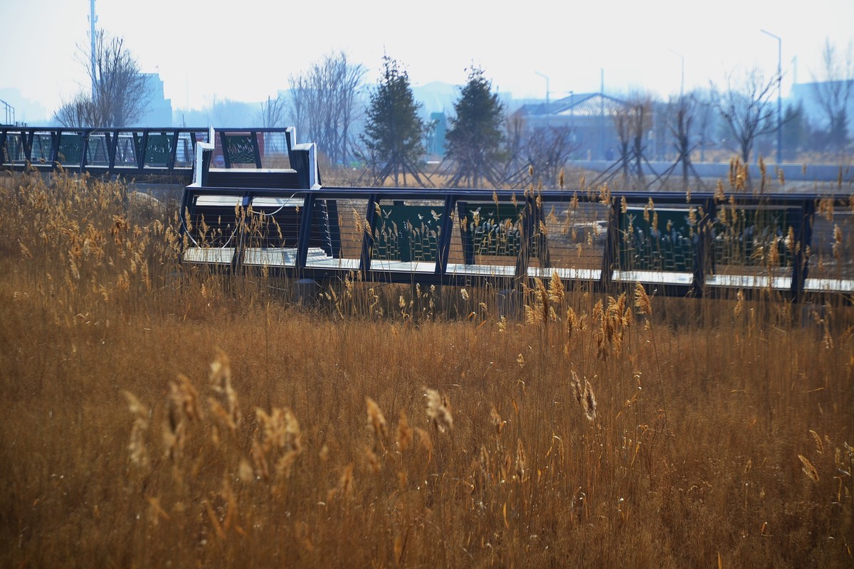 久违了，大辽河！