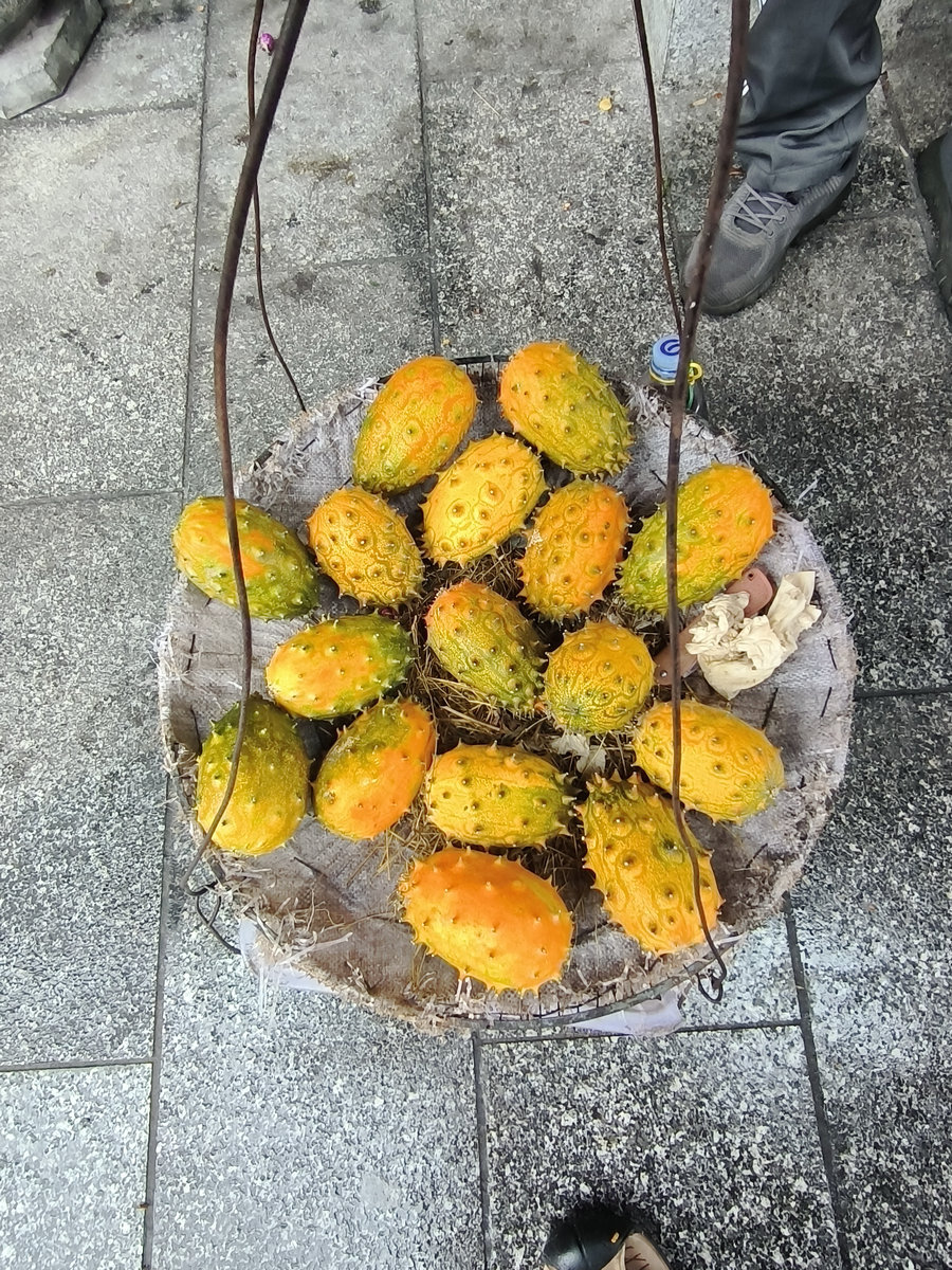 2023国庆 湘桂黔（55）这才是凤凰最真实柔美的一面