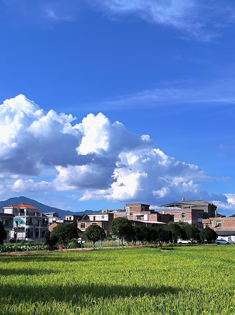 2024夏 海南环岛行（8）恭城茶油神仙鸡