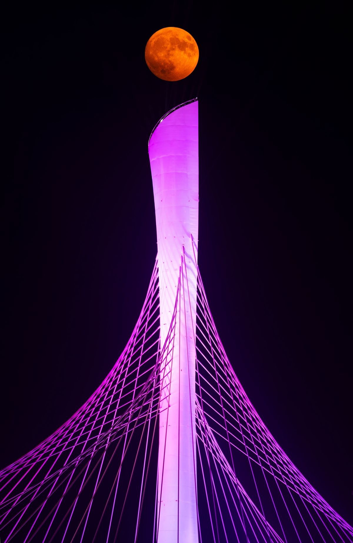 十五的月亮分外明