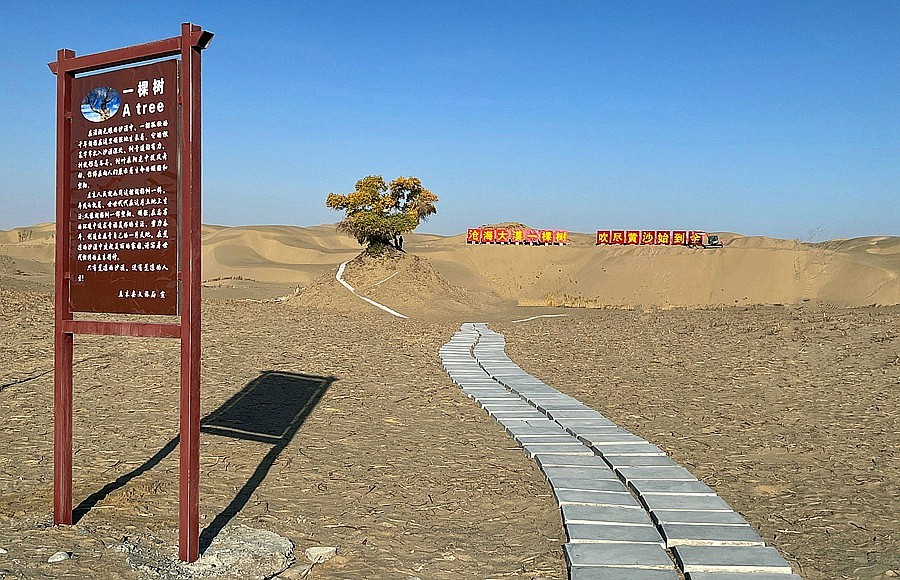 《不老松：纪实摄影》【山河锦绣】南疆游摄：穿越塔克拉玛干大沙漠！ (2)