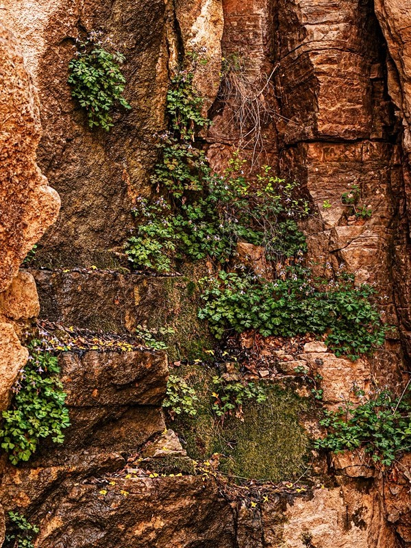 河南辉县--郭亮挂壁公路【7】