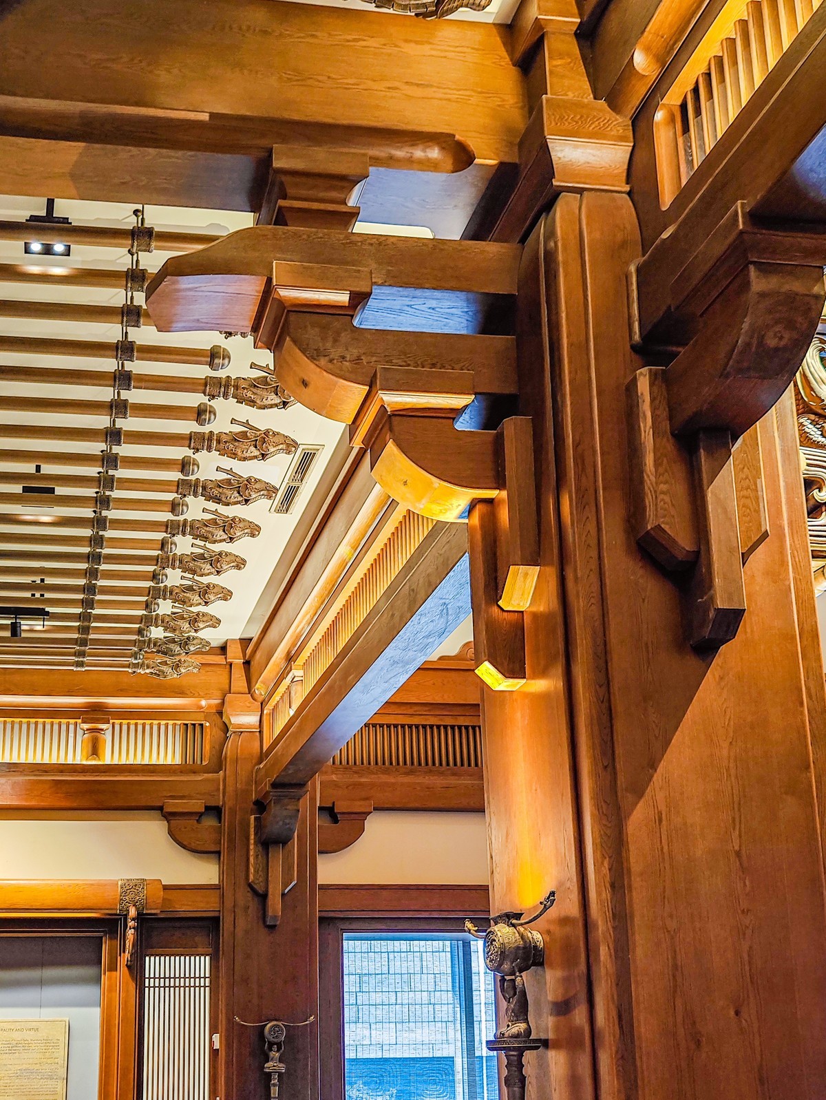 手机游拍20240923 《29》