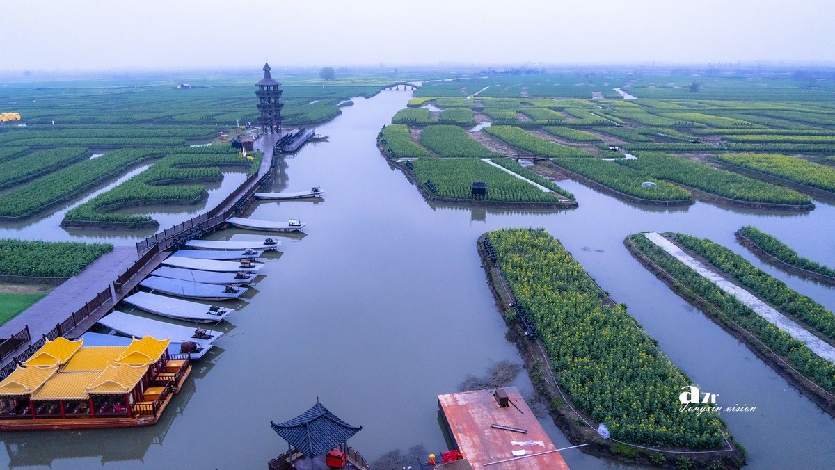 三月下江南——兴化千垛花海（7）