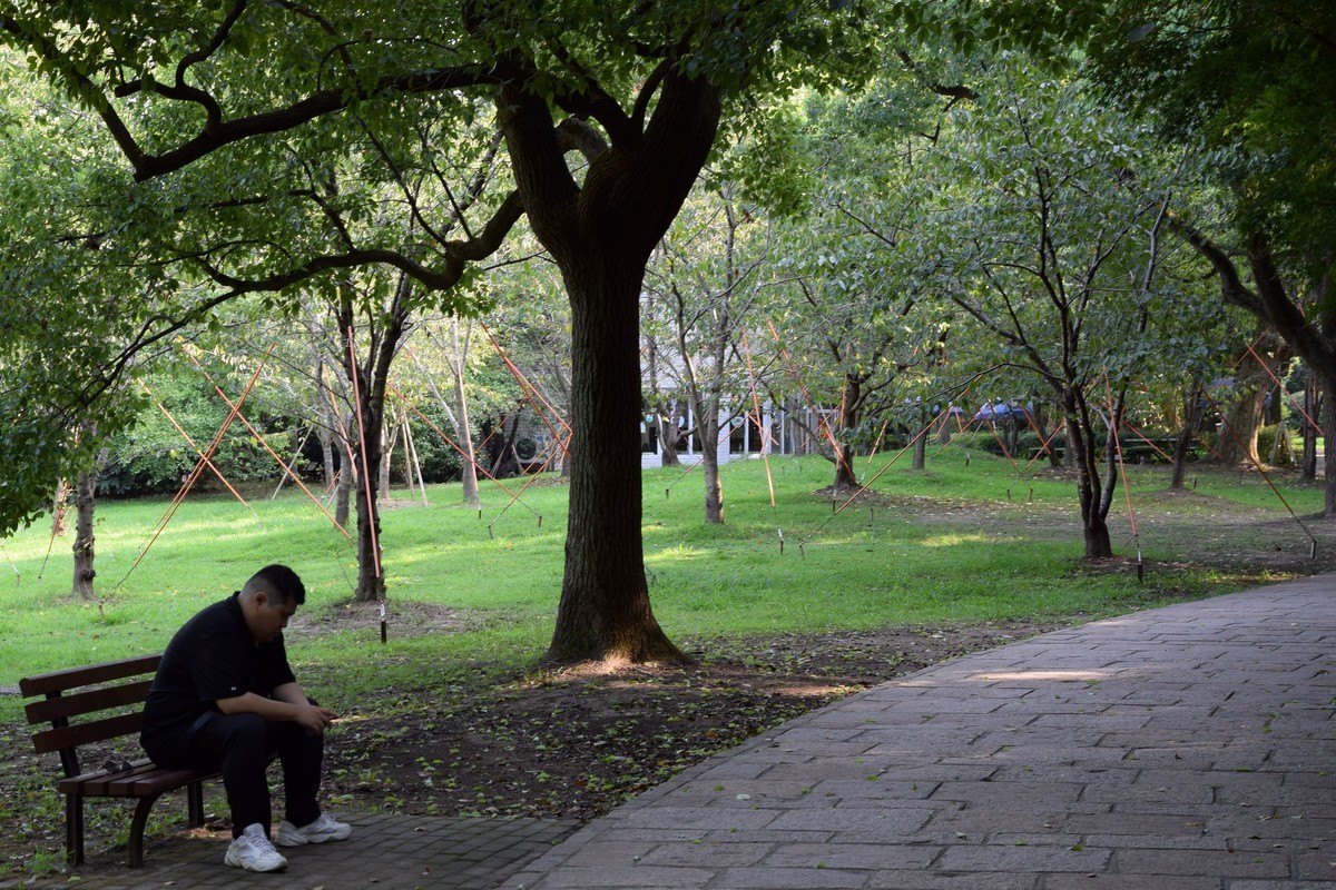 夏日森林氧吧 续三