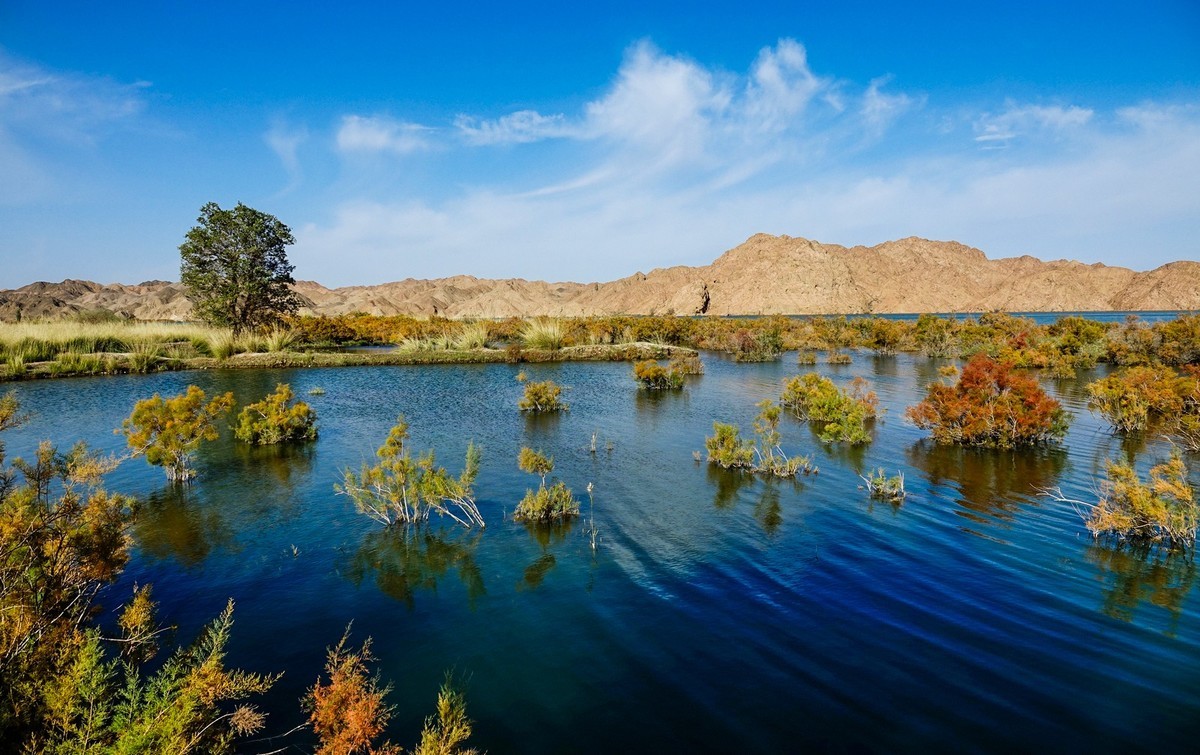 十一出去溜达之玉门赤金峡（三）