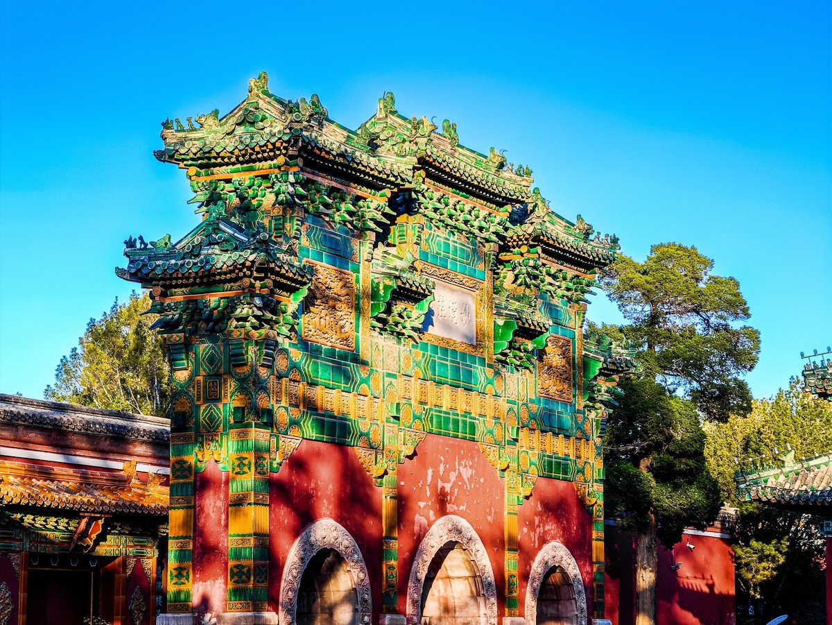 手机游拍20241105《31》