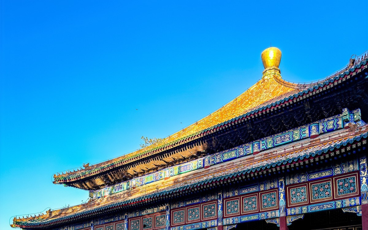 手机游拍20241105《31》