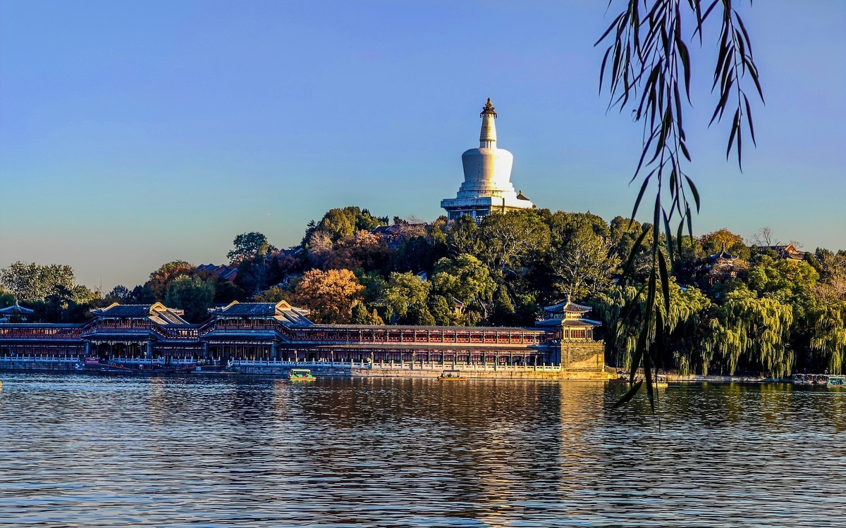 手机游拍20241105《31》