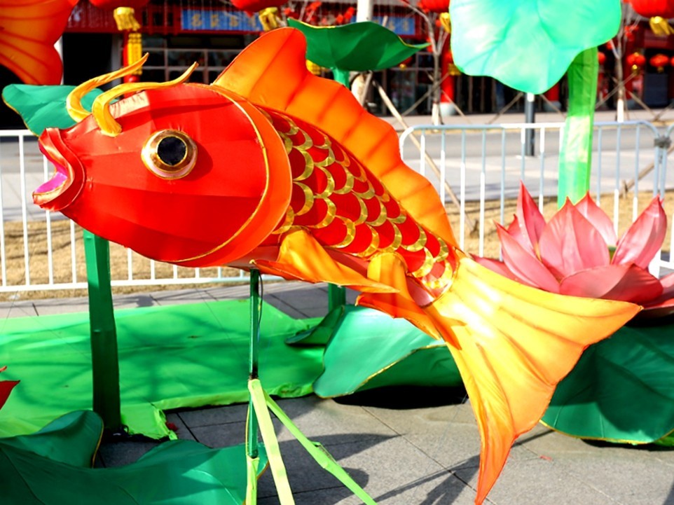 《不老松：纪实摄影》灯展（04）