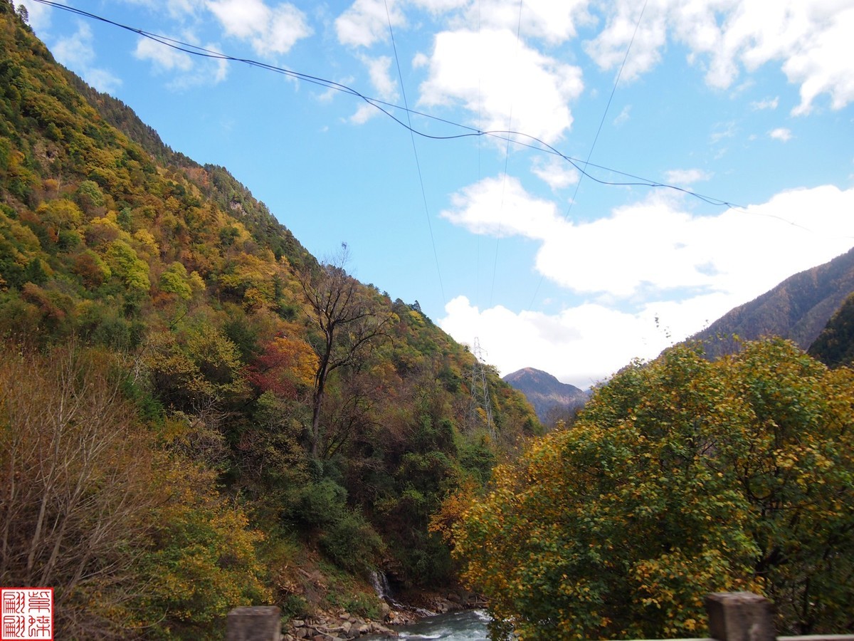 2024八丹路随拍（7）