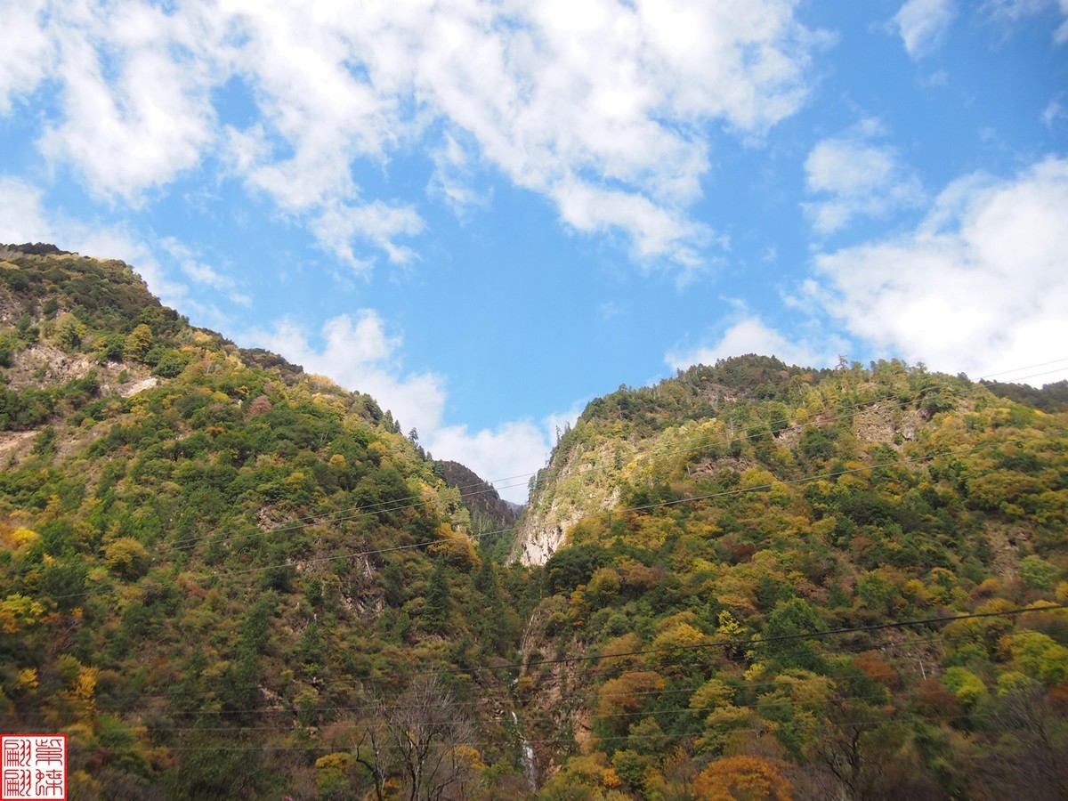 2024八丹路随拍（7）