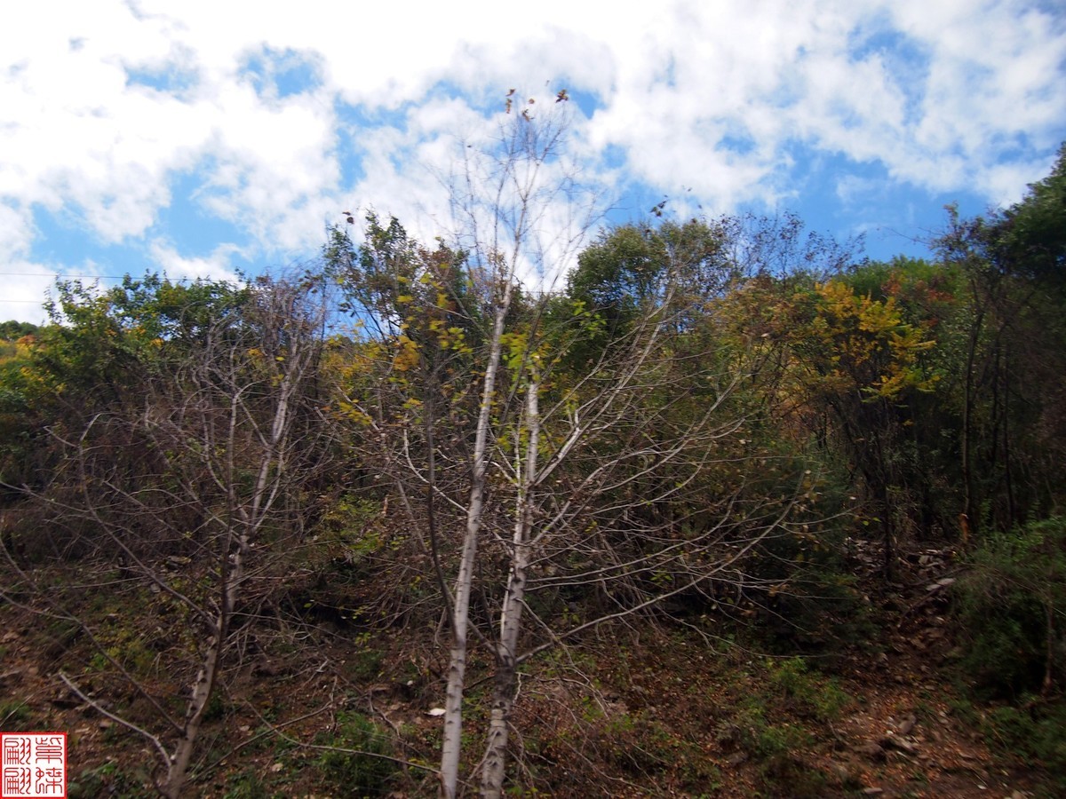 2024八丹路随拍（7）