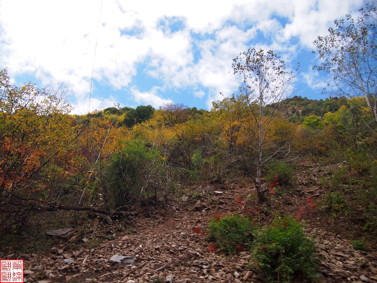 2024八丹路随拍（7）