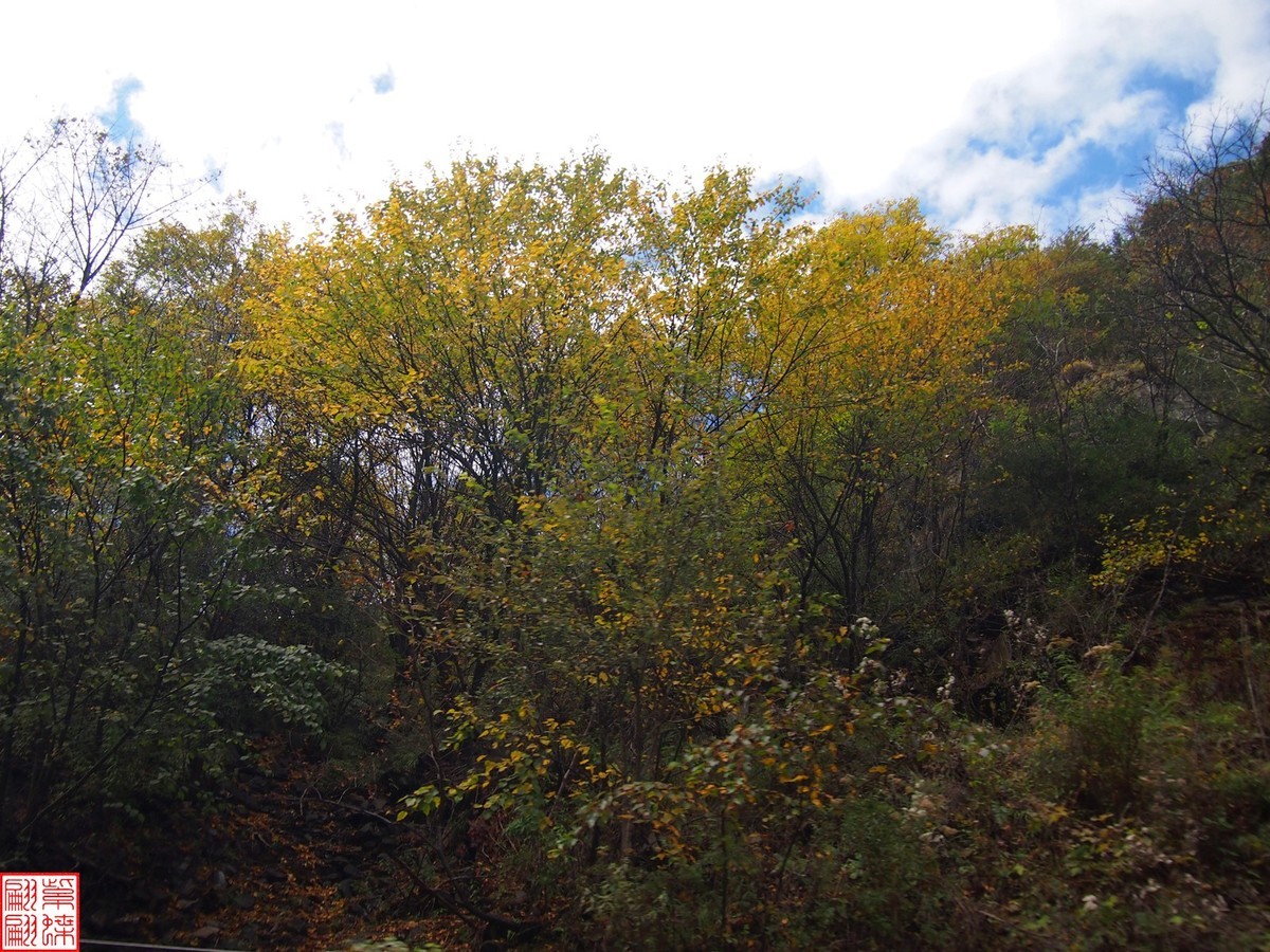 2024八丹路随拍（7）