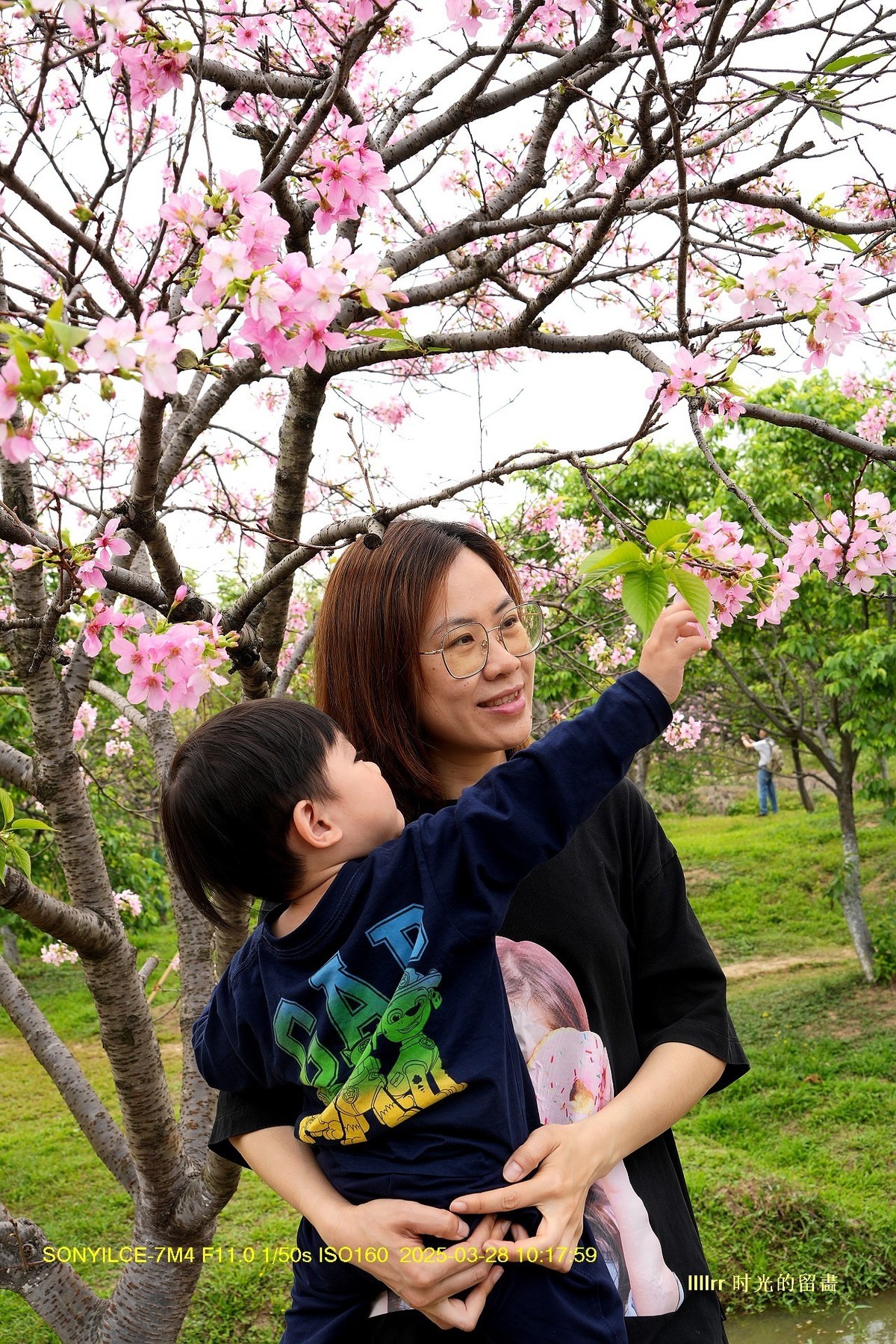 海珠湿地广州樱