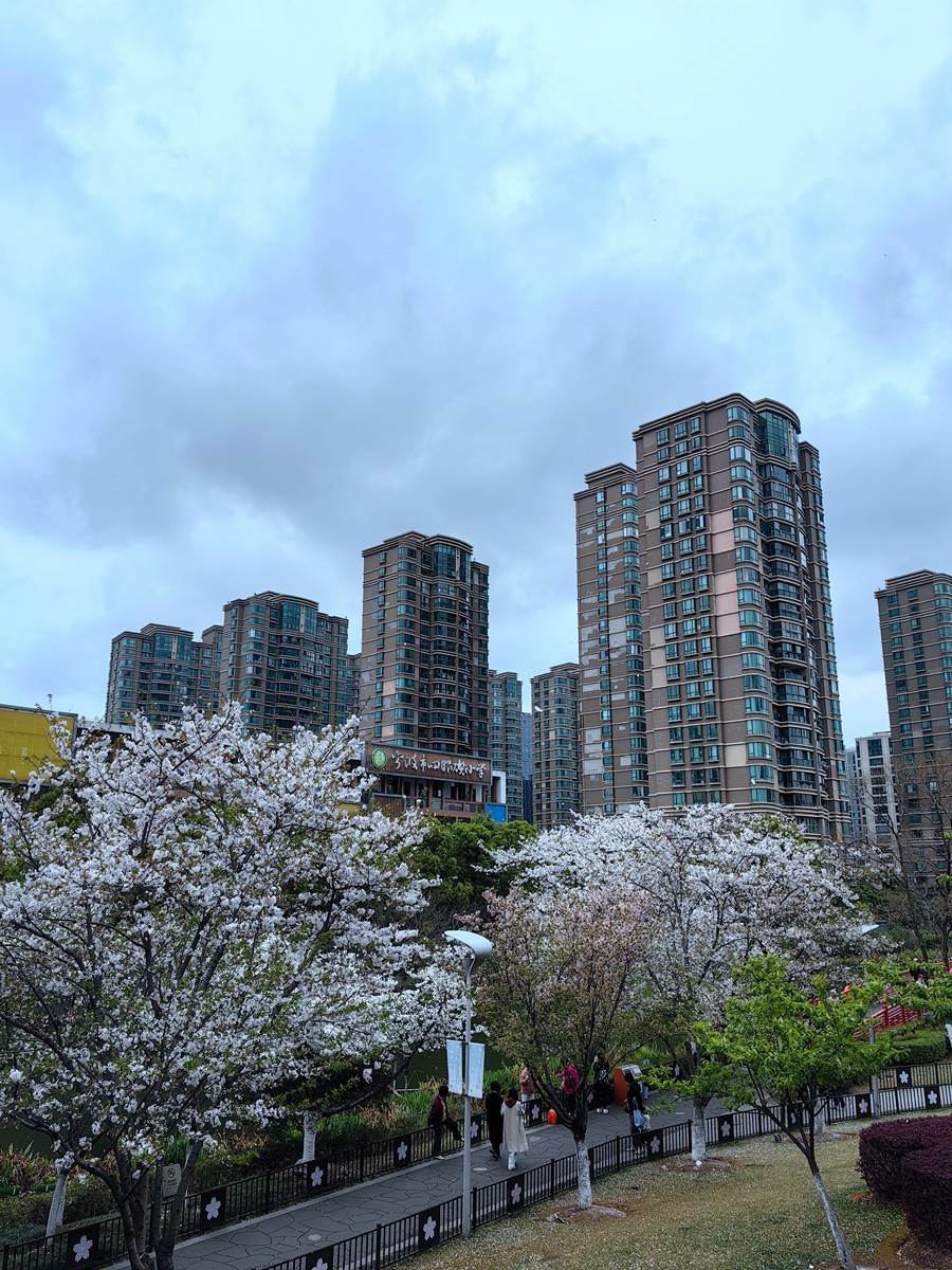 宁波樱花公园随拍