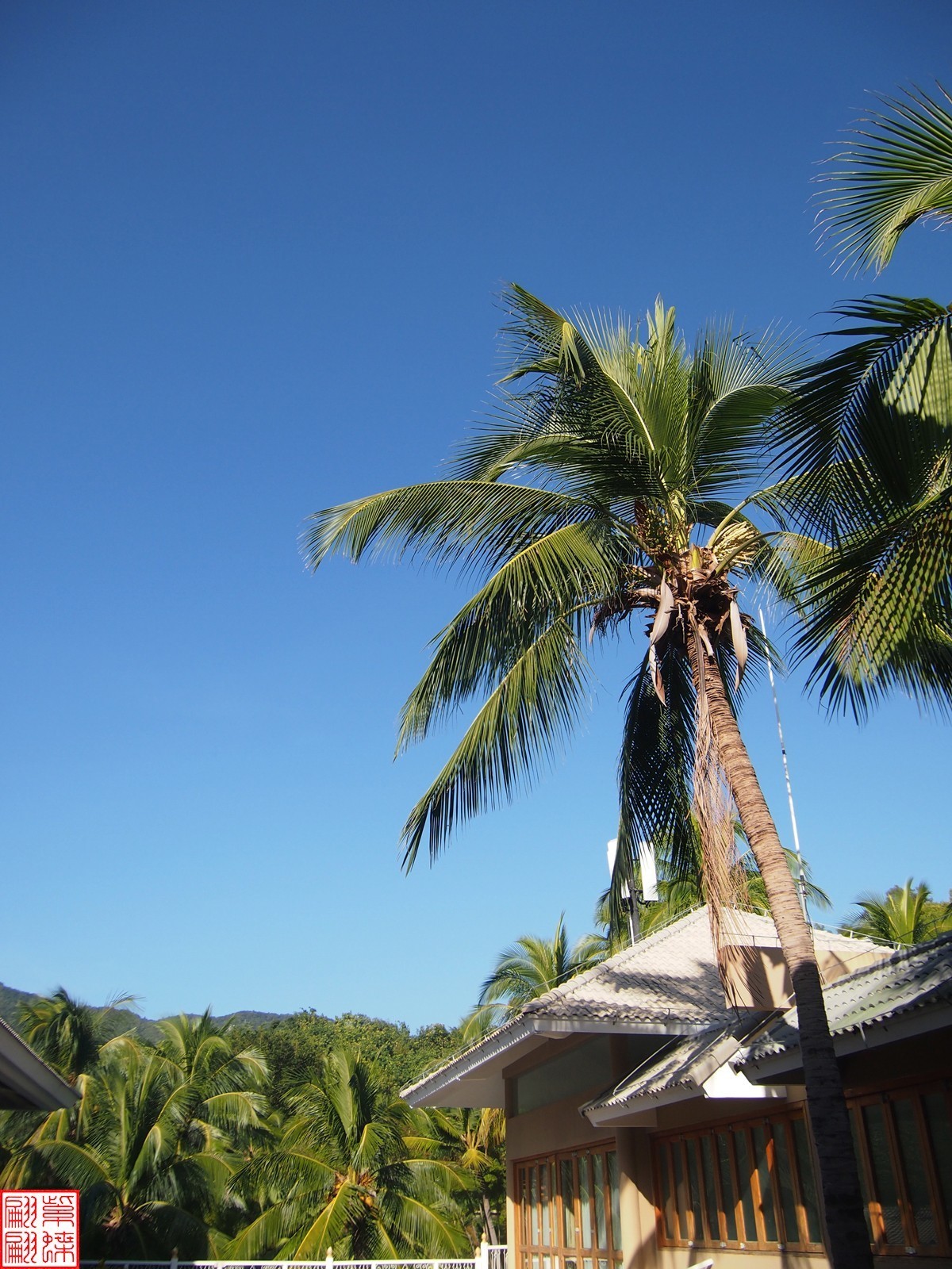 2023.11.18海南旅游随拍（14）