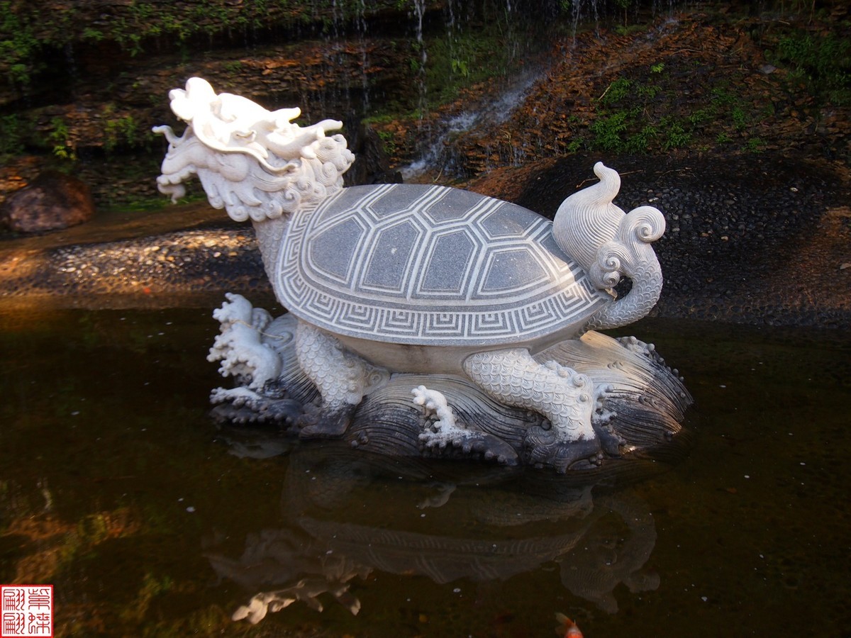 2023.11.18海南旅游随拍（14）