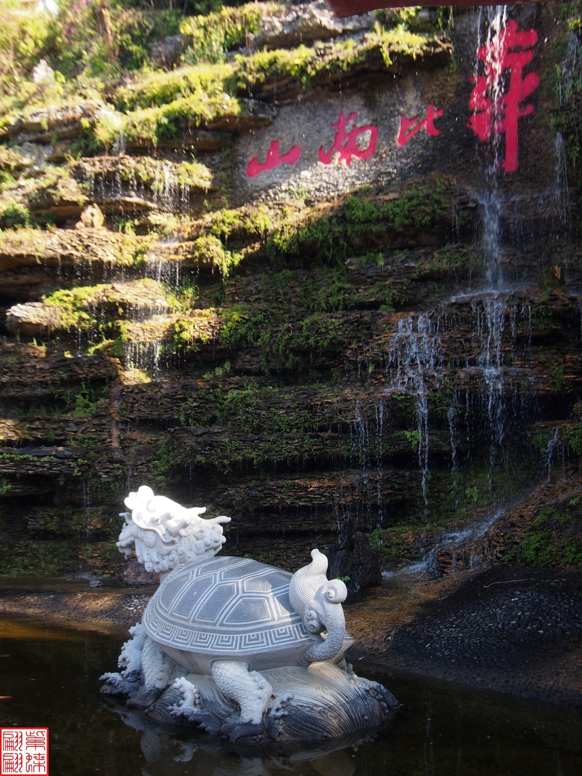 2023.11.18海南旅游随拍（14）