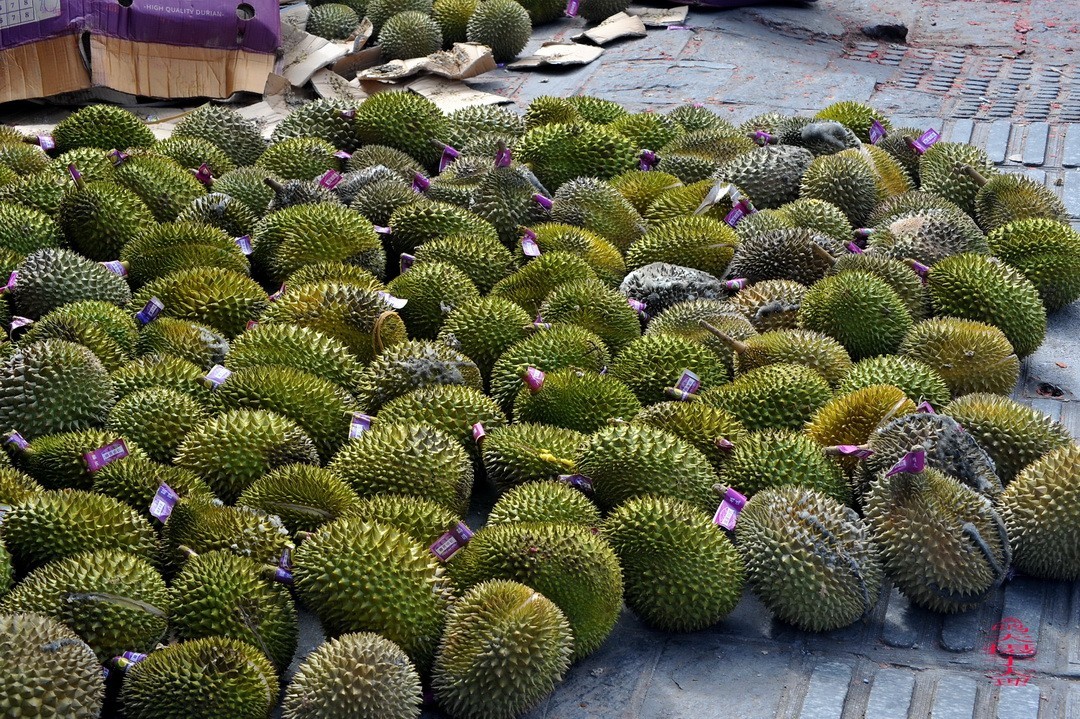 云南大理三月街  周鸣天