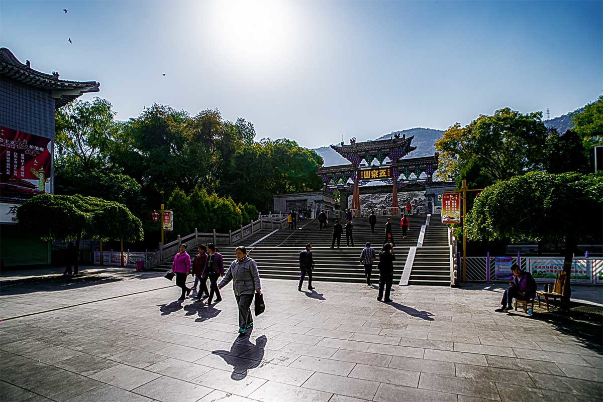 随                                       拍
