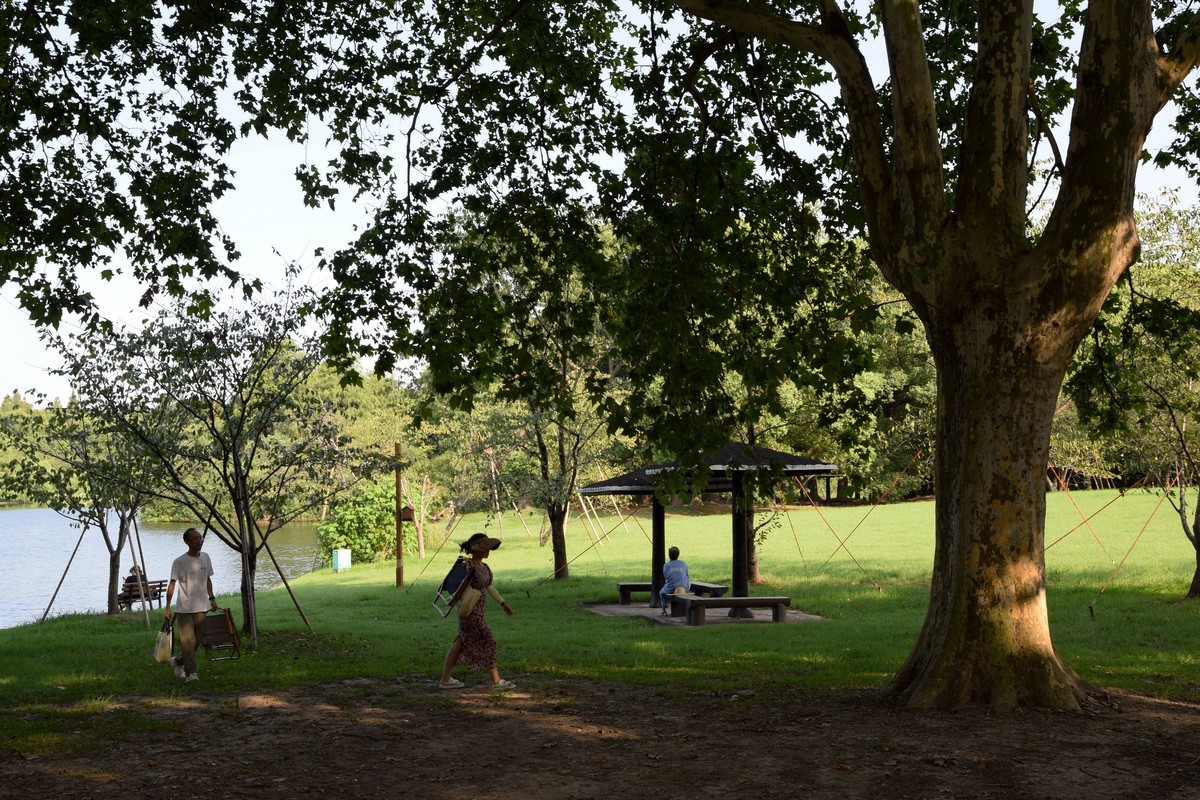 夏日森林氧吧 续三