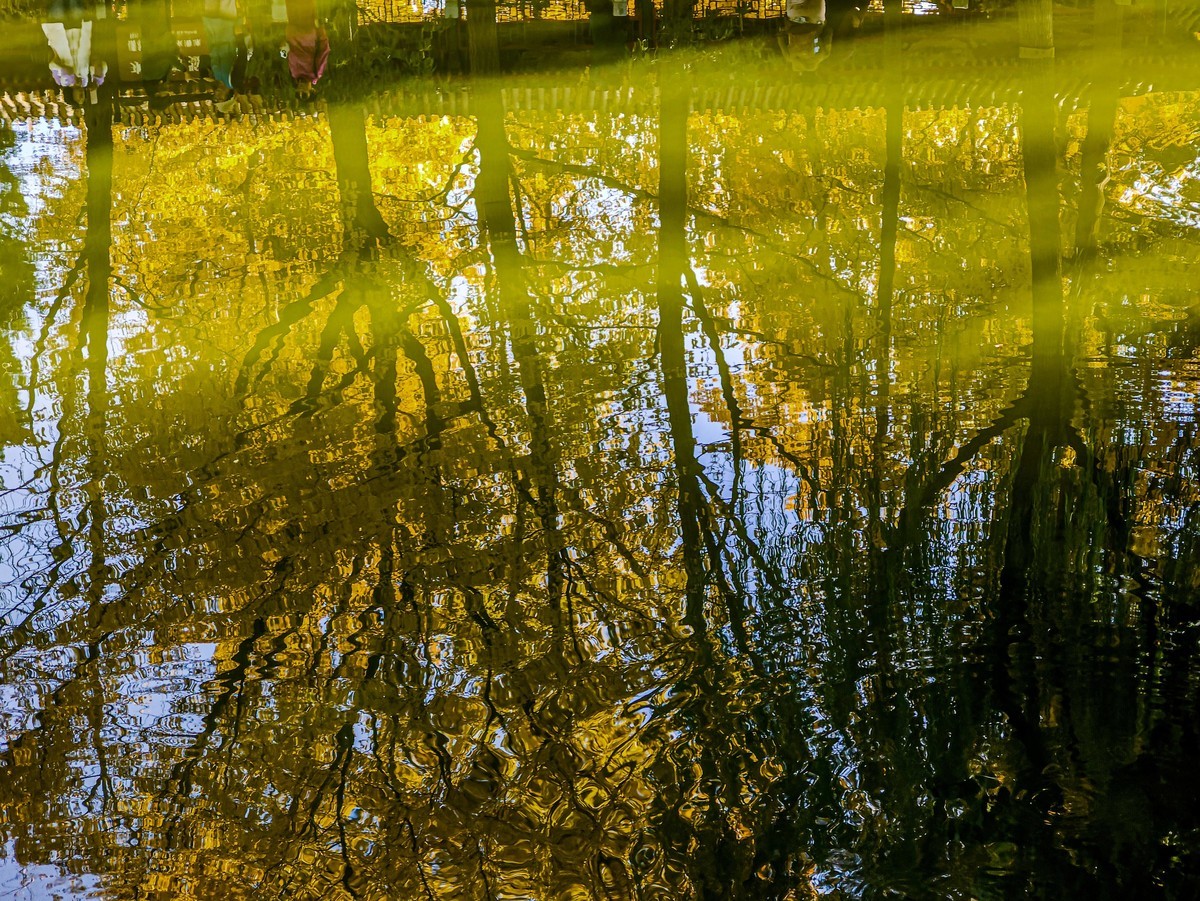 手机游拍20241105《30》