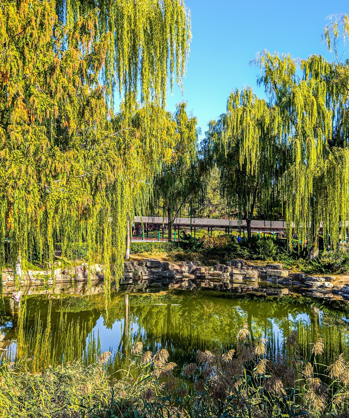 手机游拍20241105《30》