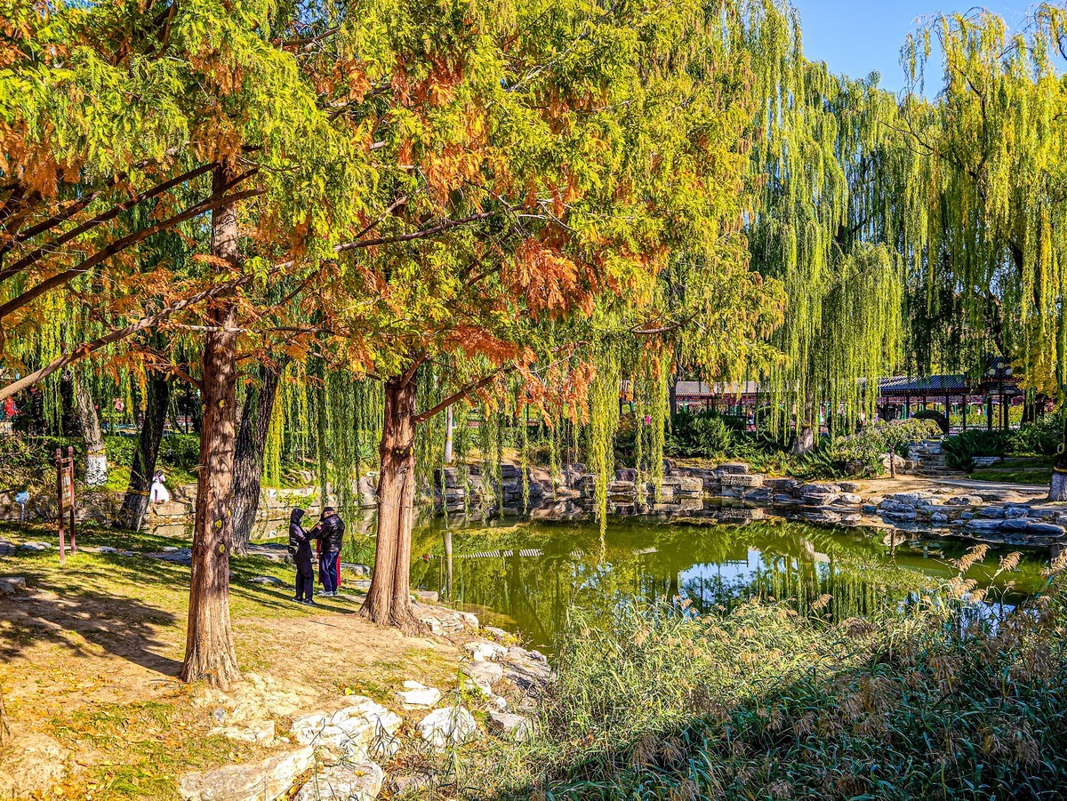 手机游拍20241105《30》