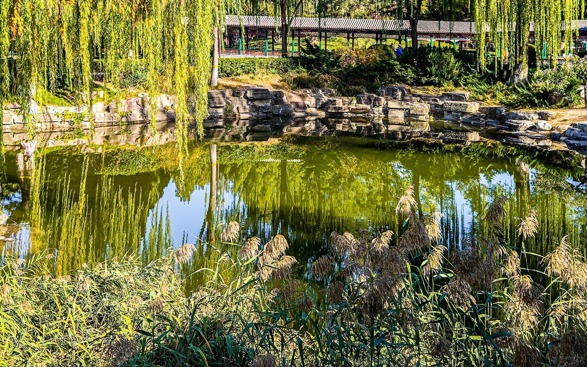 手机游拍20241105《30》