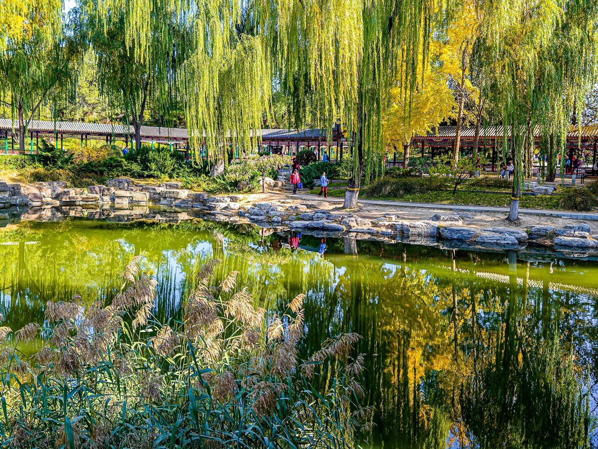 手机游拍20241105《30》