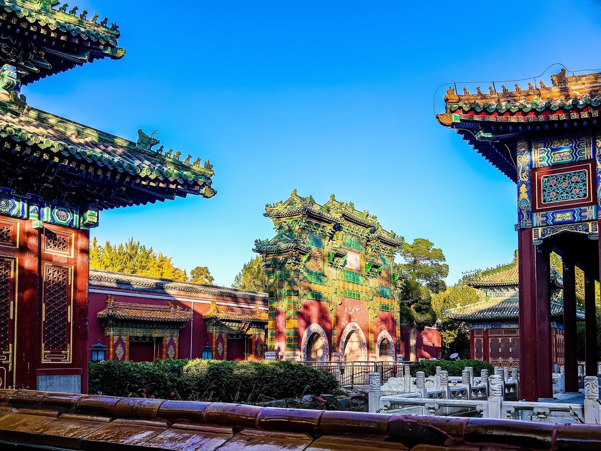 手机游拍20241105《31》