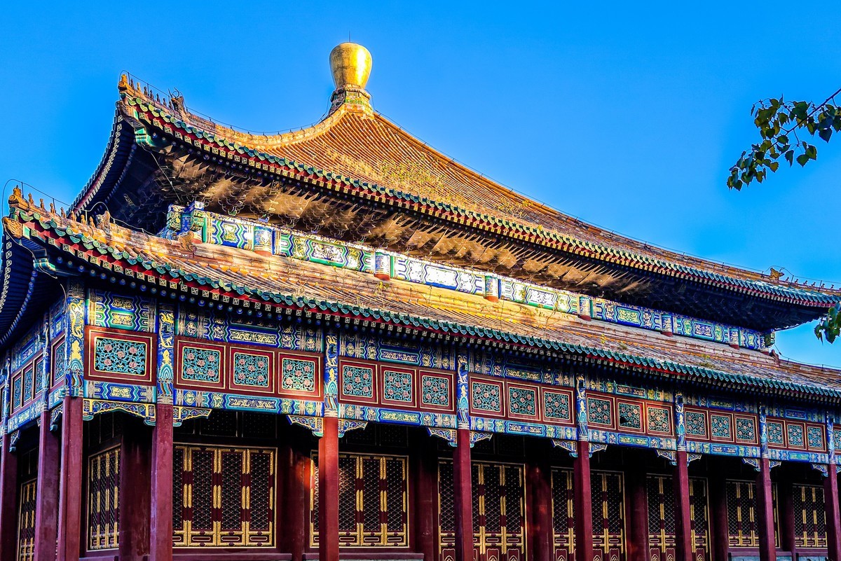 手机游拍20241105《31》