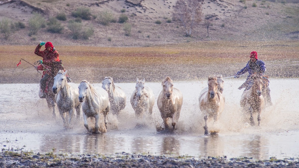 秋天的克什克腾旗------疾马飞浪（二）