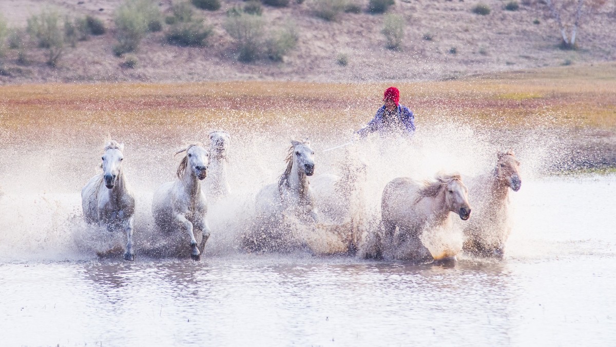 秋天的克什克腾旗------疾马飞浪（二）