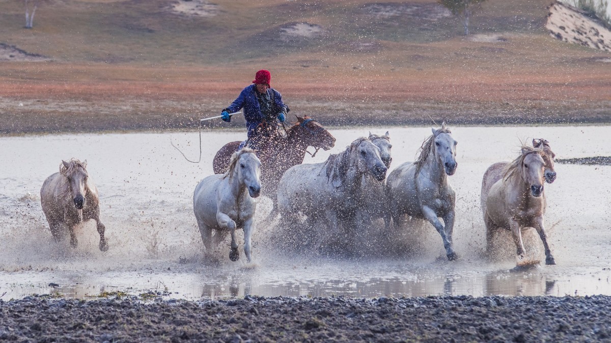 秋天的克什克腾旗------疾马飞浪（二）