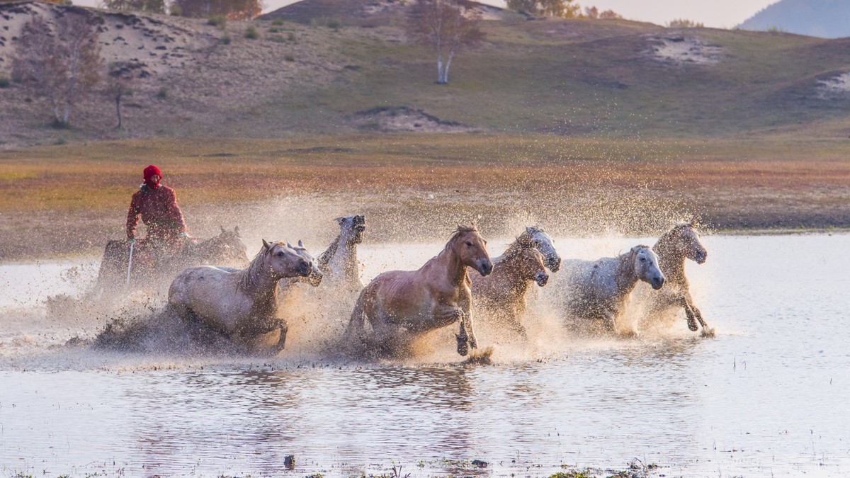 秋天的克什克腾旗------疾马飞浪（二）