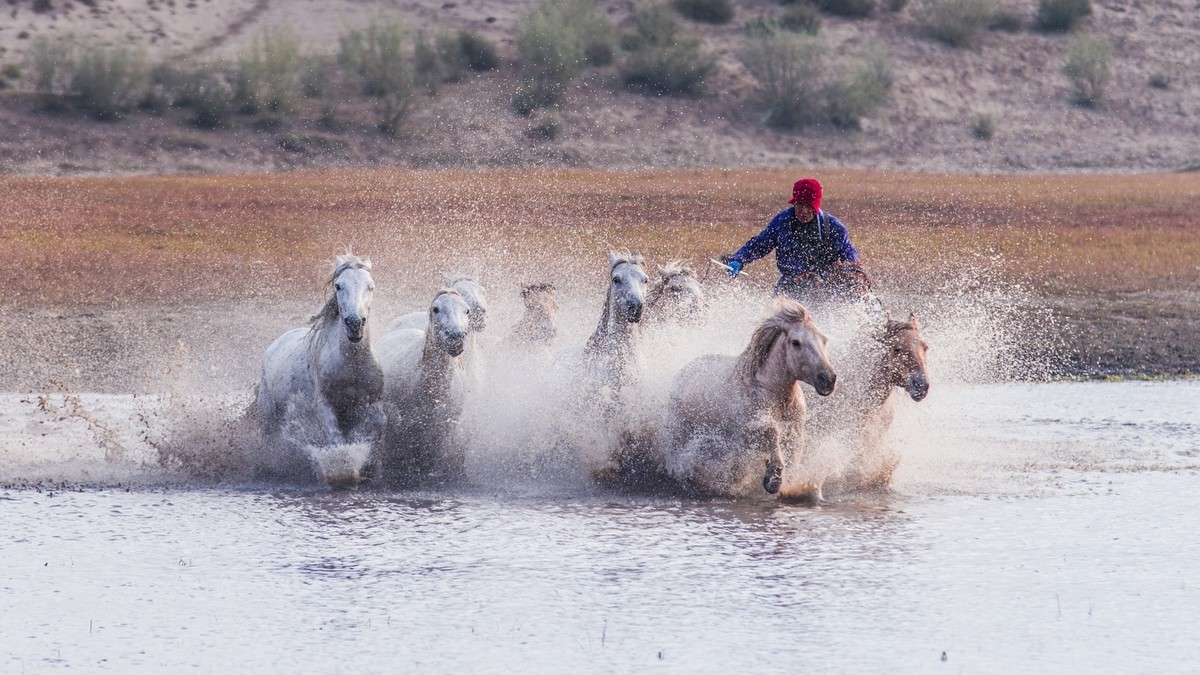秋天的克什克腾旗------疾马飞浪（二）