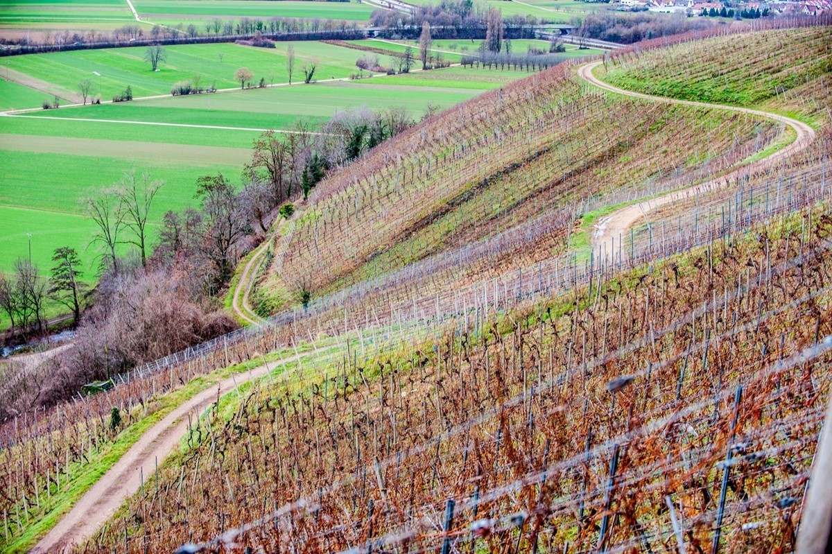 冬摄黑森林（南德）