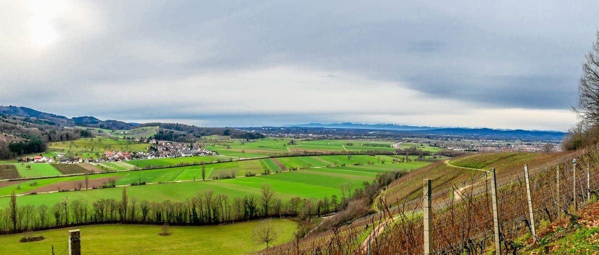冬摄黑森林（南德）