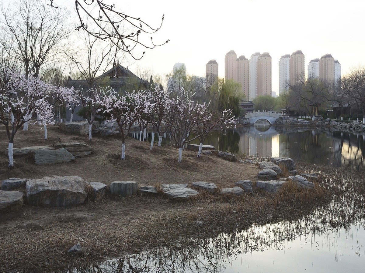 宁园随拍__20230313