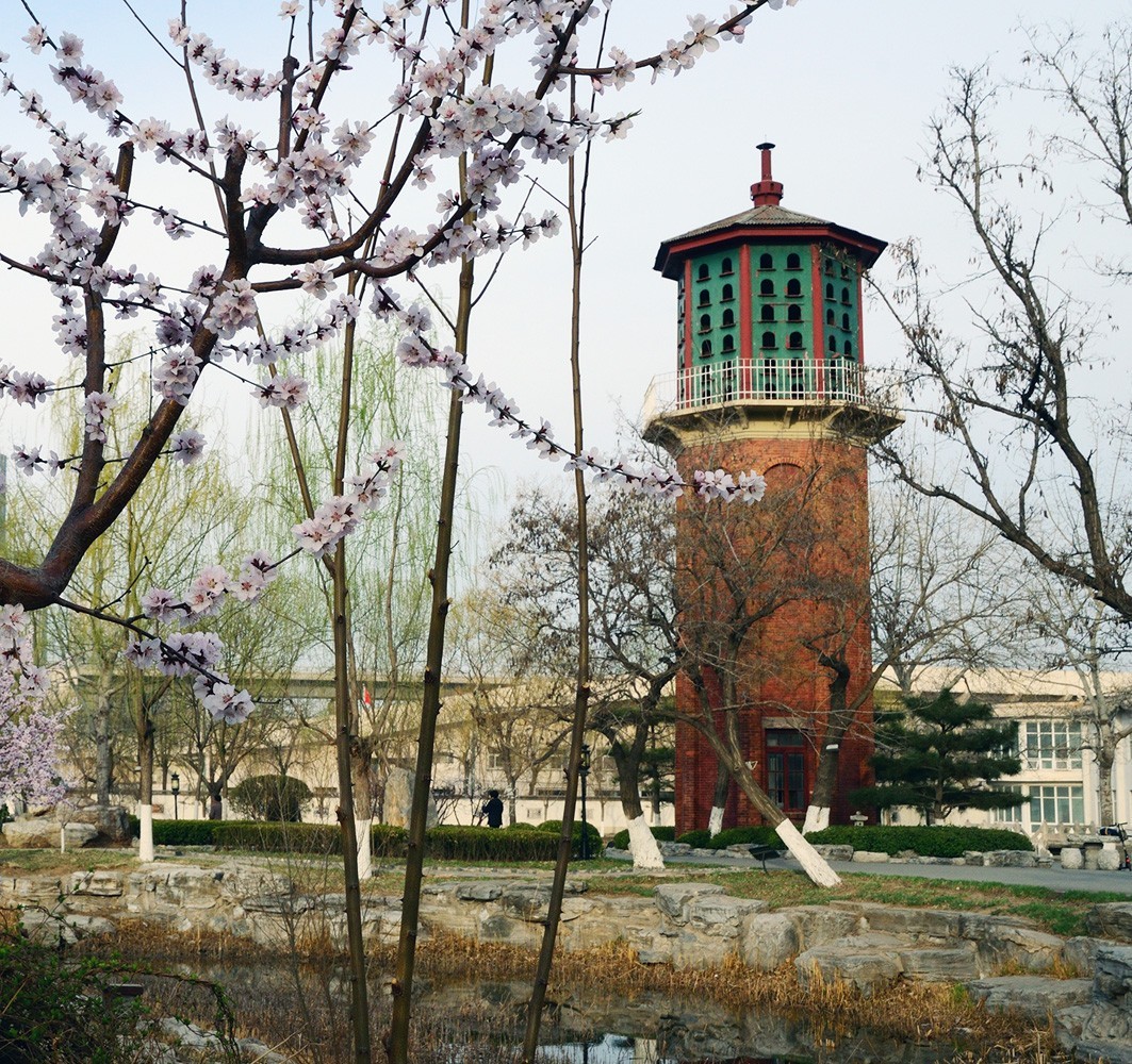 宁园随拍__20230313