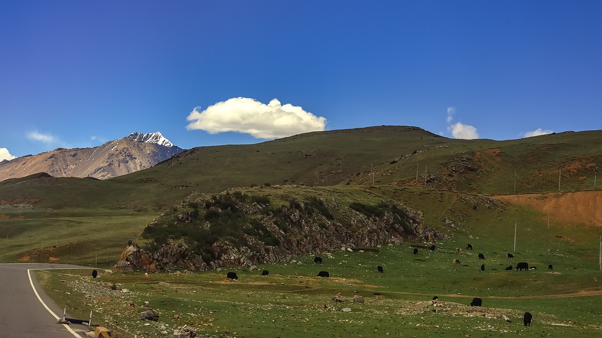 2019.06.进藏回顾 之 巴塘草原(2)